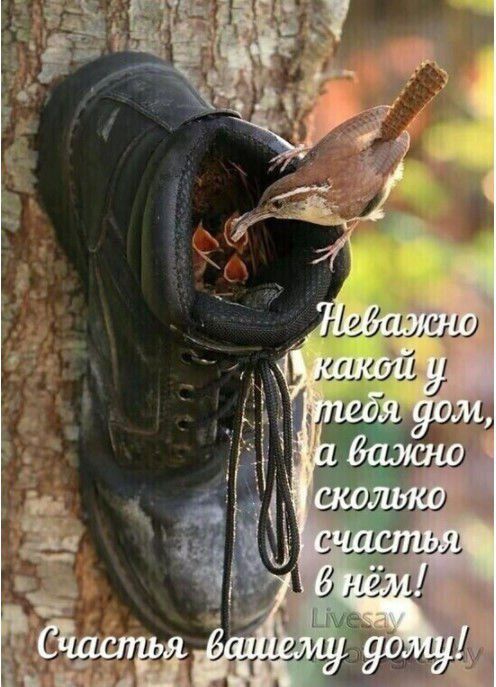 Неважно какой у тебя дом, а важно сколько счастья в нём! Счастья вашему дому!