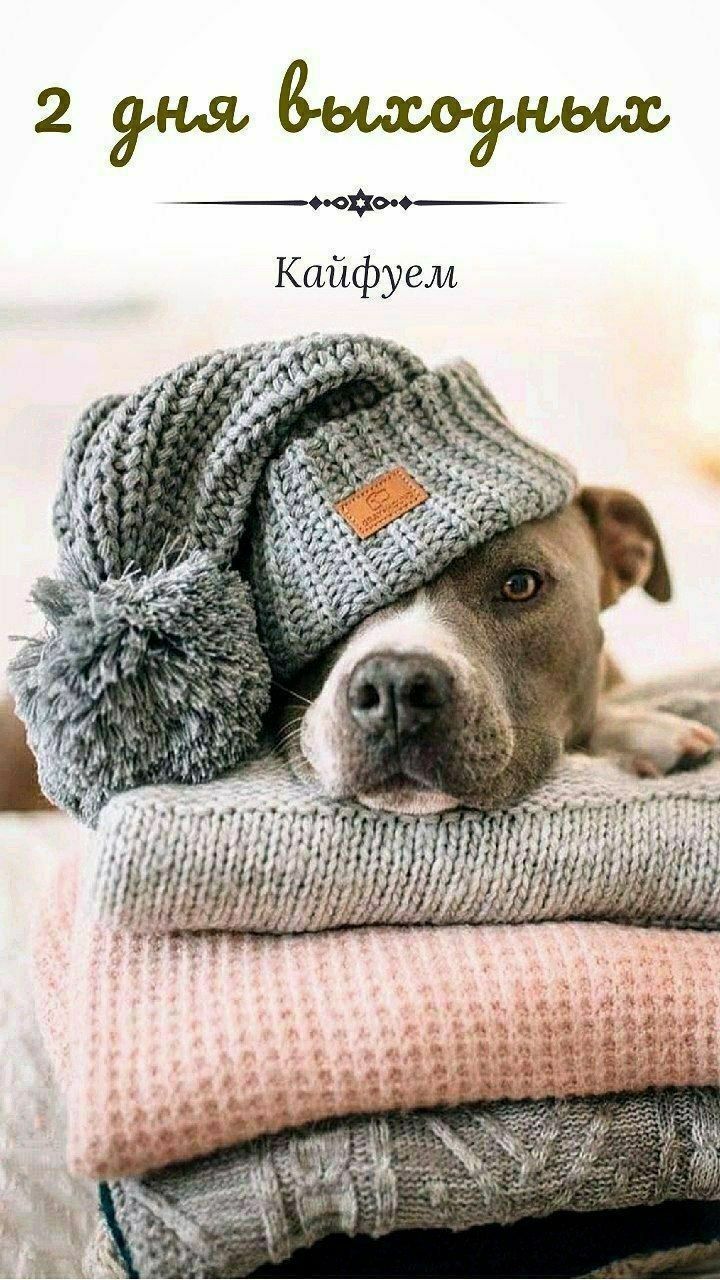 2 дня выходных\nКайфем