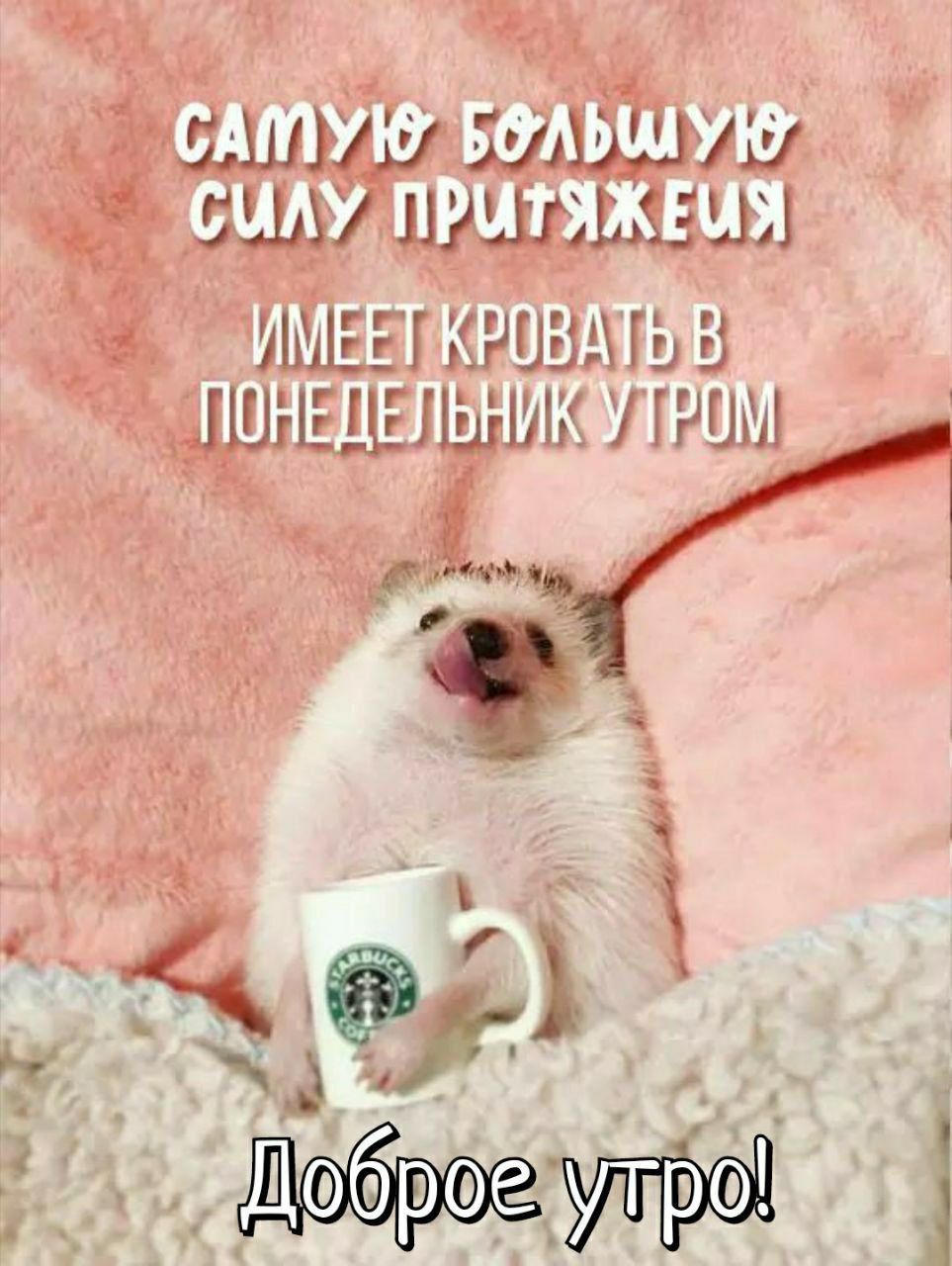 самую большую силу притяжения имеет кровать в понедельник утром. Доброе утро!