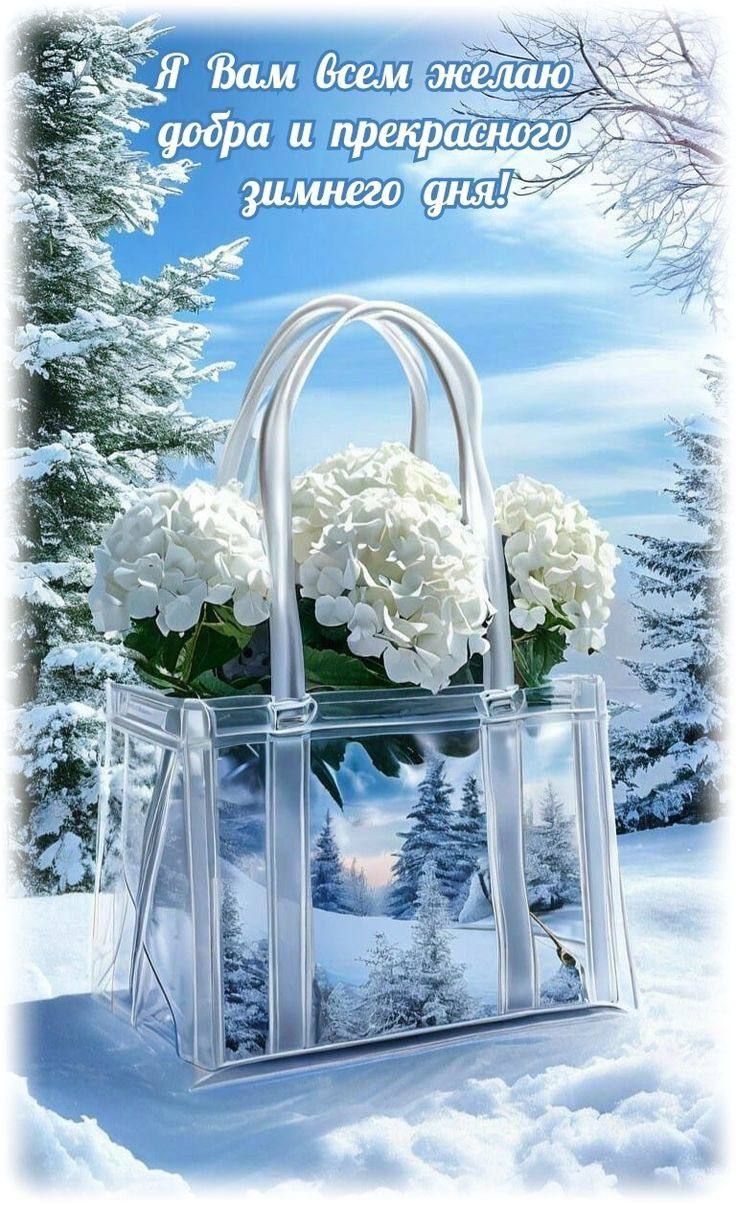 Я Вам всем желаю добра и прекрасного зимнего дня!