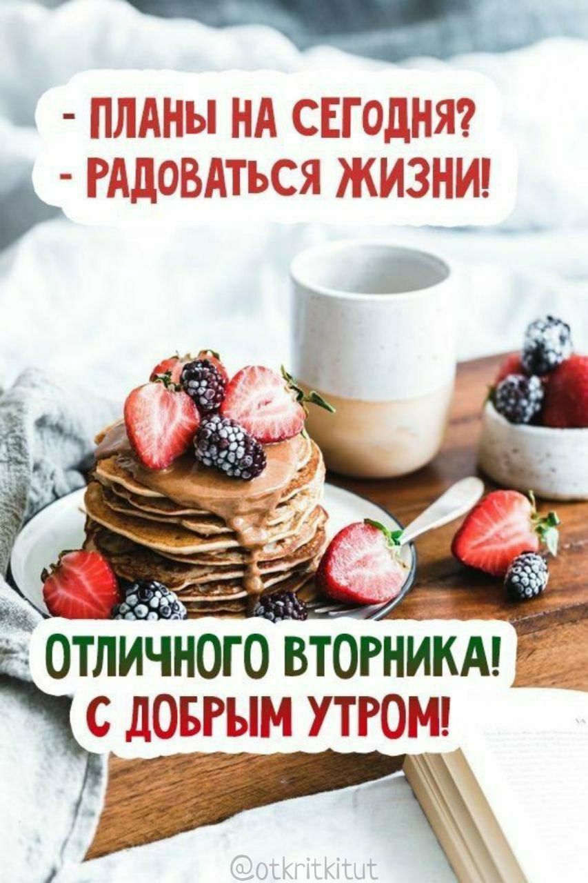 - ПЛАНЫ НА СЕГОДНЯ? - РАДОВАТЬСЯ ЖИЗНИ! ОТЛИЧНОГО ВТОРНИКА! С ДОБРЫМ УТРОМ!
