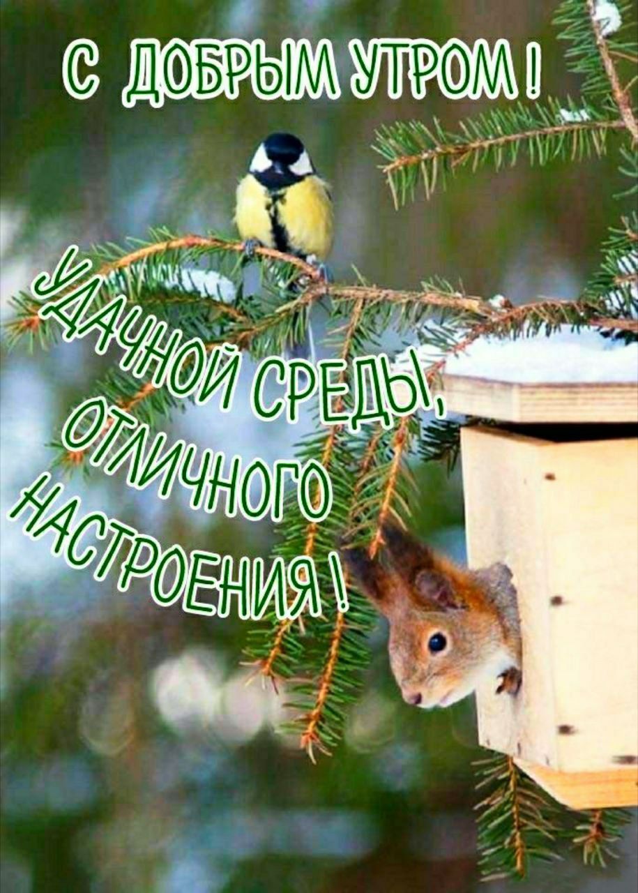 С ДОБРЫМ УТРОМ! УДАЧНОЙ СРЕДЫ, ОТЛИЧНОГО НАСТРОЕНИЯ!