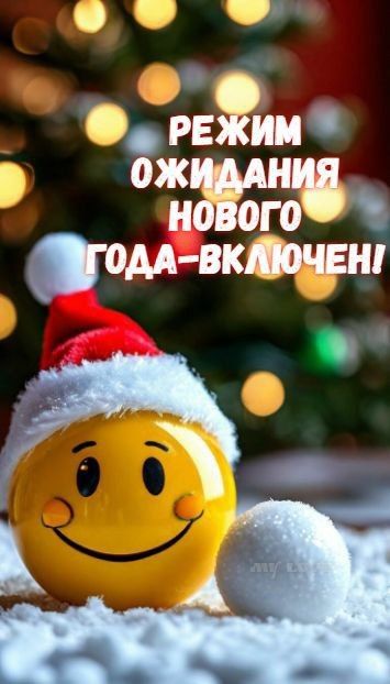 РЕЖИМ ОЖИДАНИЯ НОВОГО ГОДА-ВКЛЮЧЕН!
