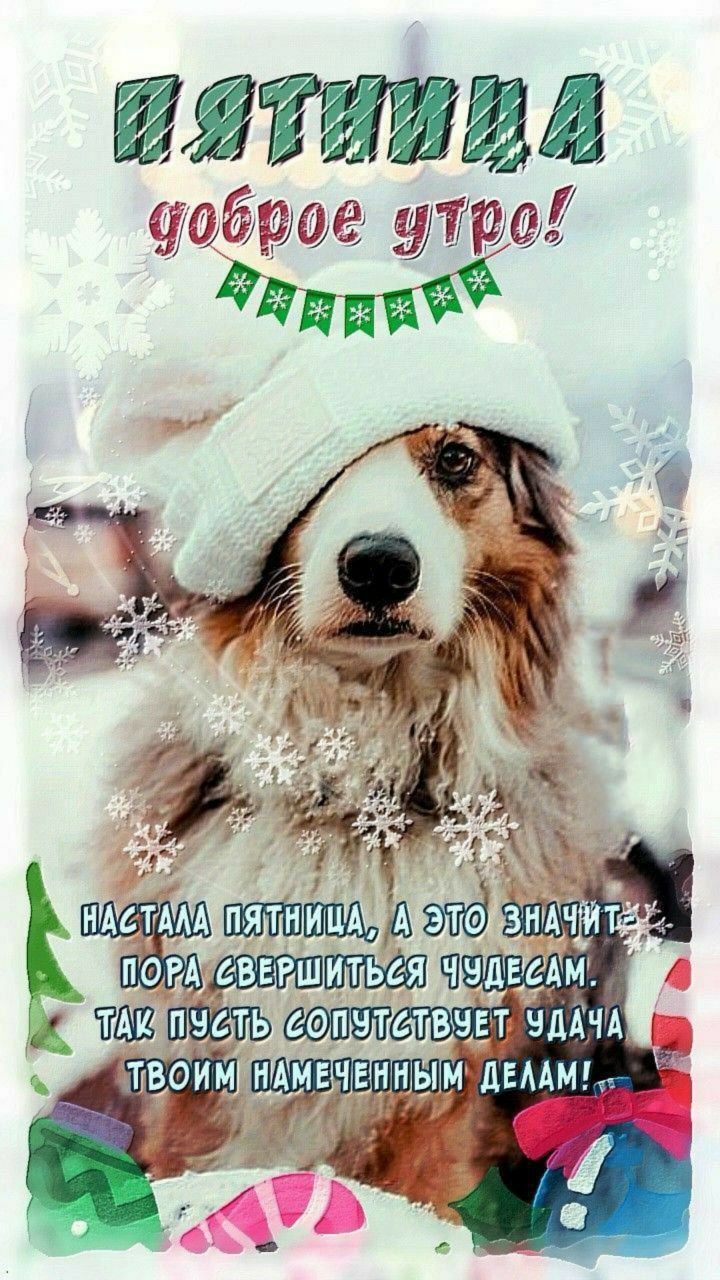 ПЯТНИЦА доброе утро! НАСТАЛА ПЯТНИЦА, А ЭТО ЗНАЧИТ ПОРА СВЕРШИТЬСЯ ЧУДЕСАМ. ТАК ПУСТЬ СОПУТСТВУЕТ УДАЧА ТВОИМ НАМЕЧЕННЫМ ДЕЛАМ!