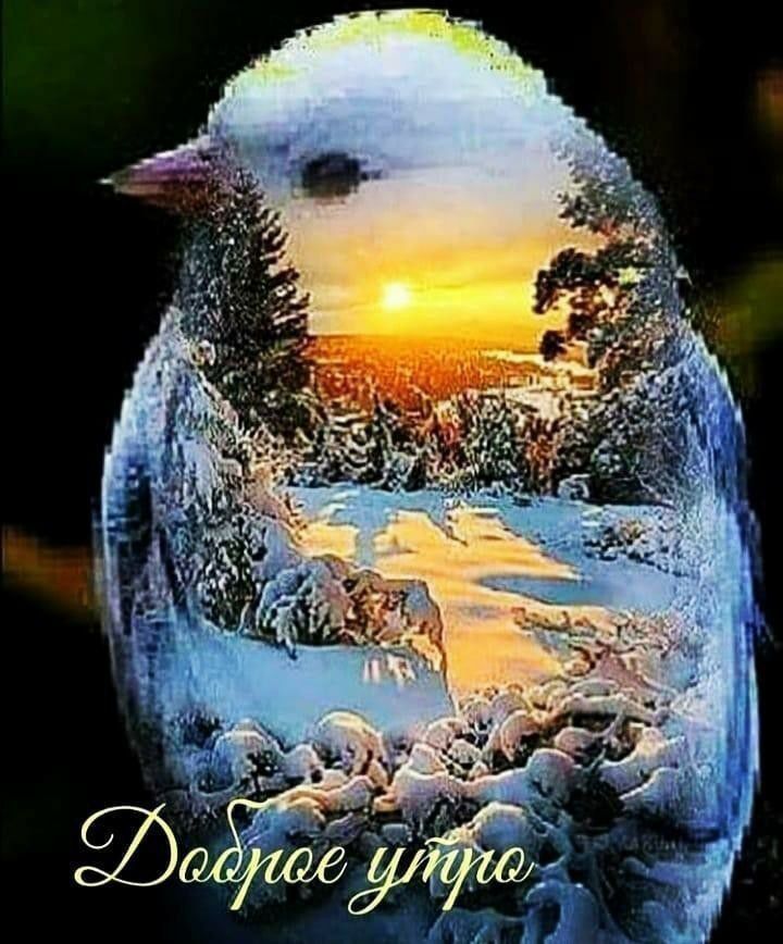 Доброе утро