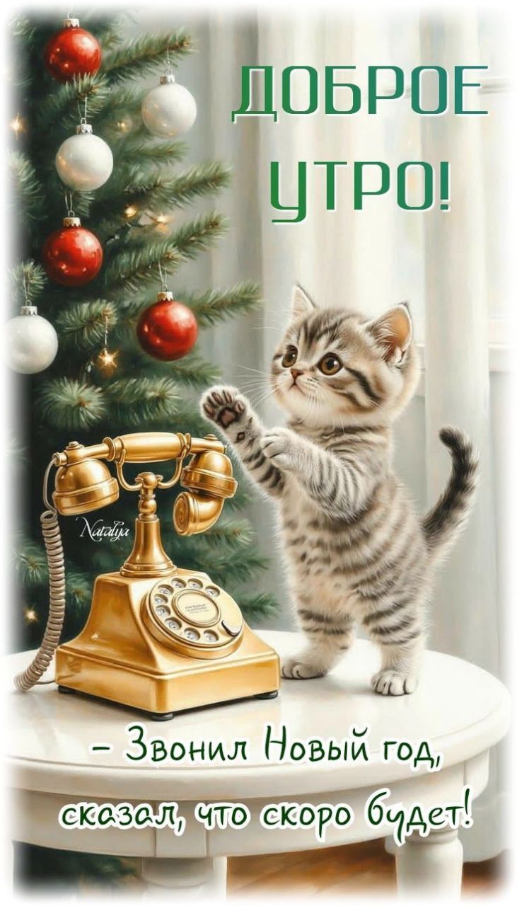 ДОБРОЕ УТРО! - Звонил Новый год, сказал, что скоро будет!
