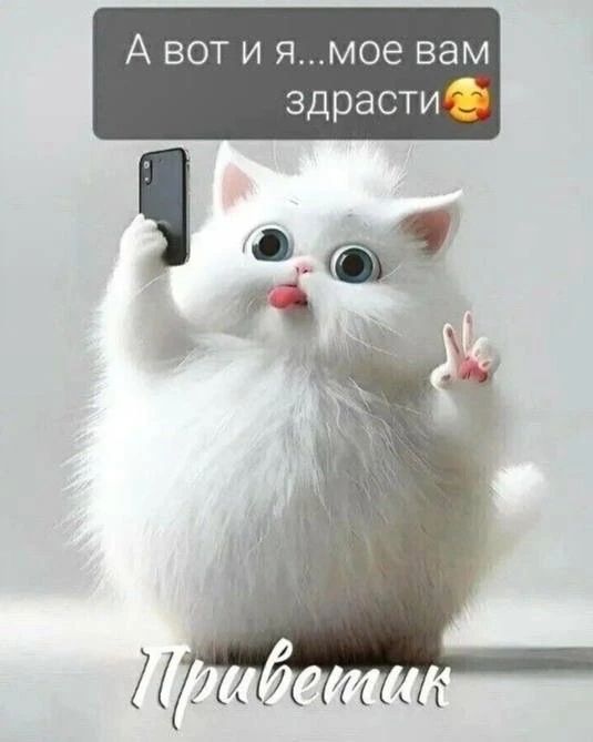 А вот и я...моё вам здрасти
Приветик