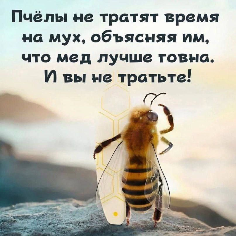 Пчёлы не тратят время на мух, объясняя им, что мед лучше говна. И вы не тратьте!