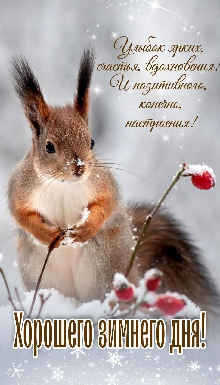 Улыбок ярких, счастья, вдохновения! И позитивного, конечно, настроения! Хорошего зимнего дня!