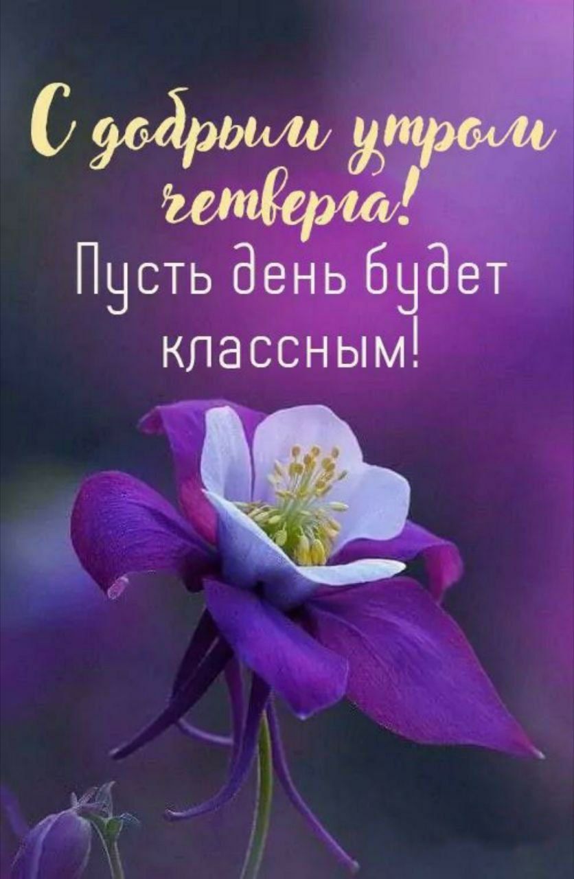 С добрым утром четверга! Пусть день будет классным!