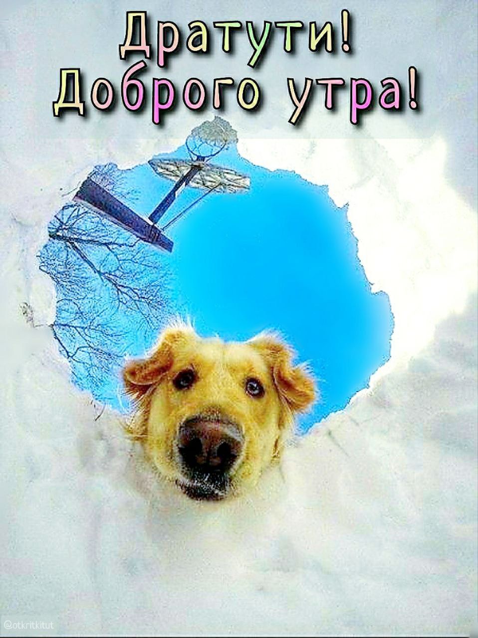 Дратути! Доброго утра!