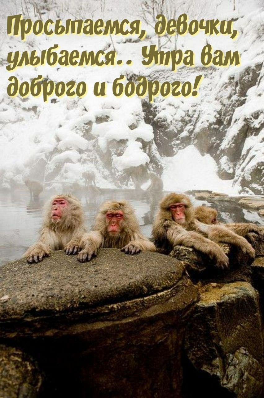 Просыпаемся, девочки, улыбаемся.. Утро вам доброго и бодрого!