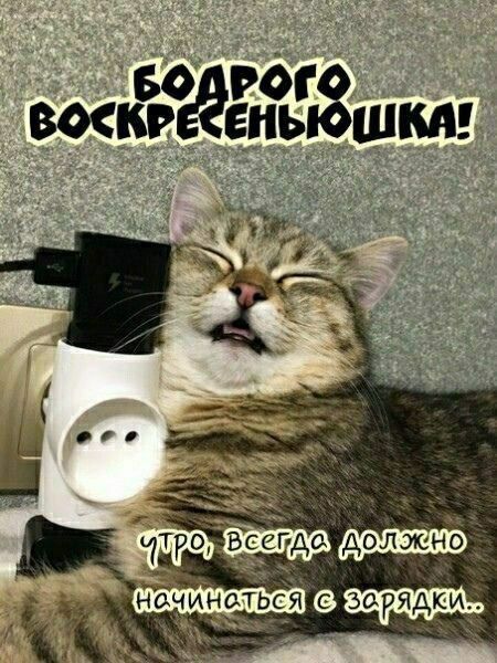 Бодрого воскресеньюшка! Утро, всегда должно начинаться с зарядки..