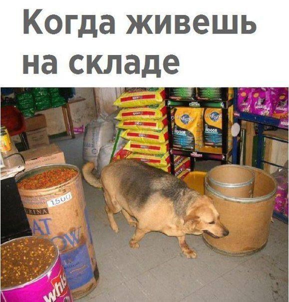 Когда живешь на складе