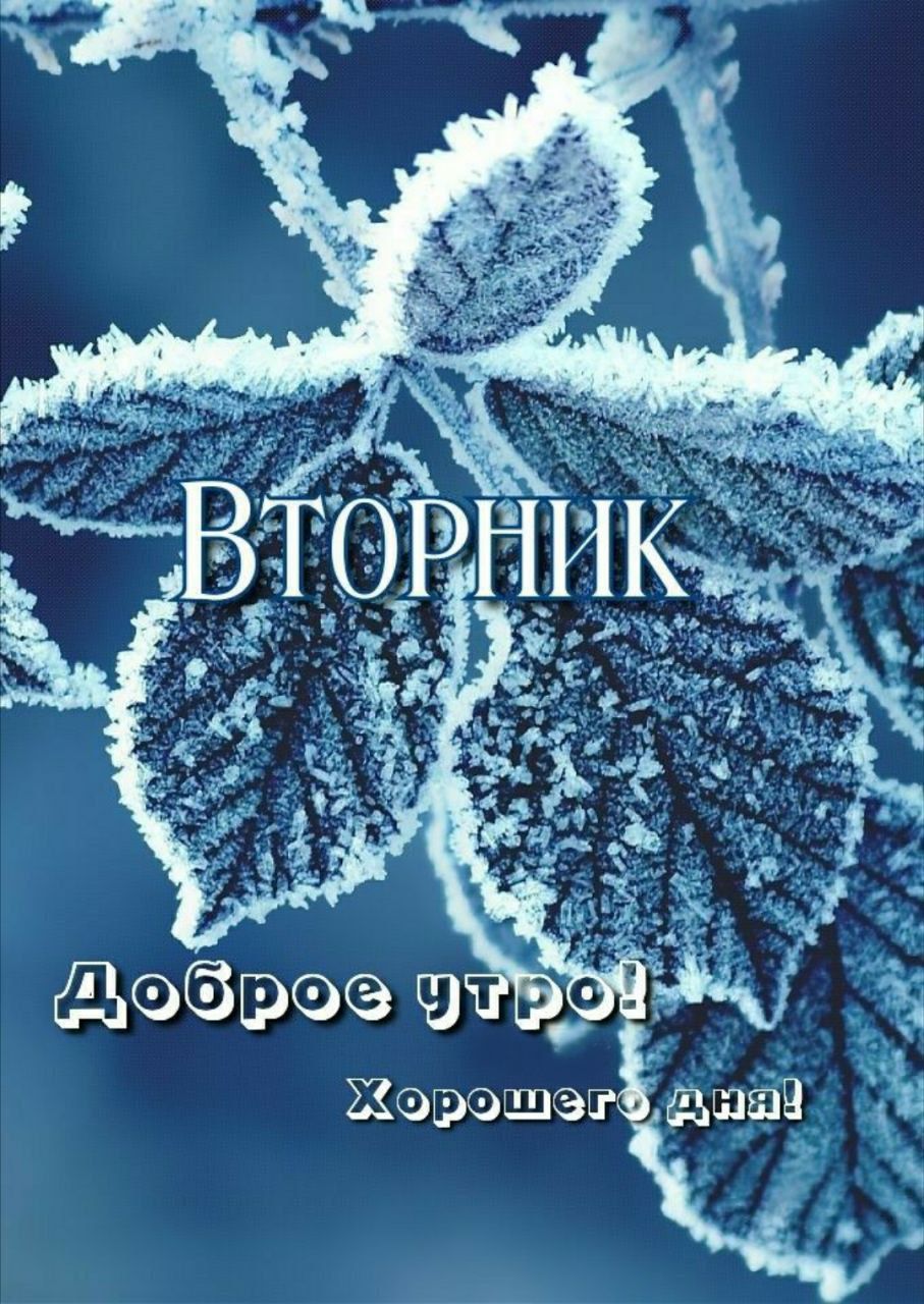 Вторник Доброе утро! Хорошего дня!
