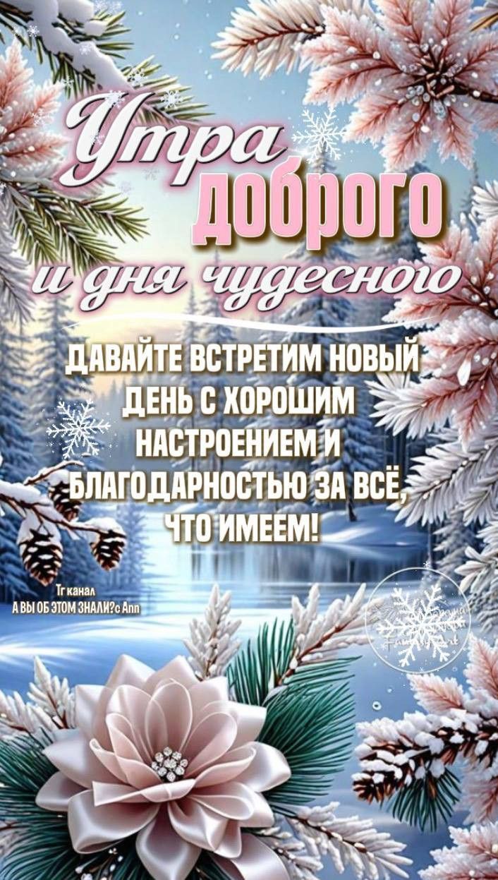 Утра доброго и дня чудесною. ДАВАЙТЕ ВСТРЕТИМ НОВЫЙ ДЕНЬ С ХОРОШИМ НАСТРОЕНИЕМ И БЛАГОДАРНОСТЬЮ ЗА ВСЁ, ЧТО ИМЕЕМ!