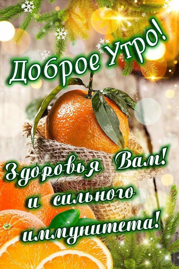 Доброе утро! Здоровья Вам и сильного иммунитета!