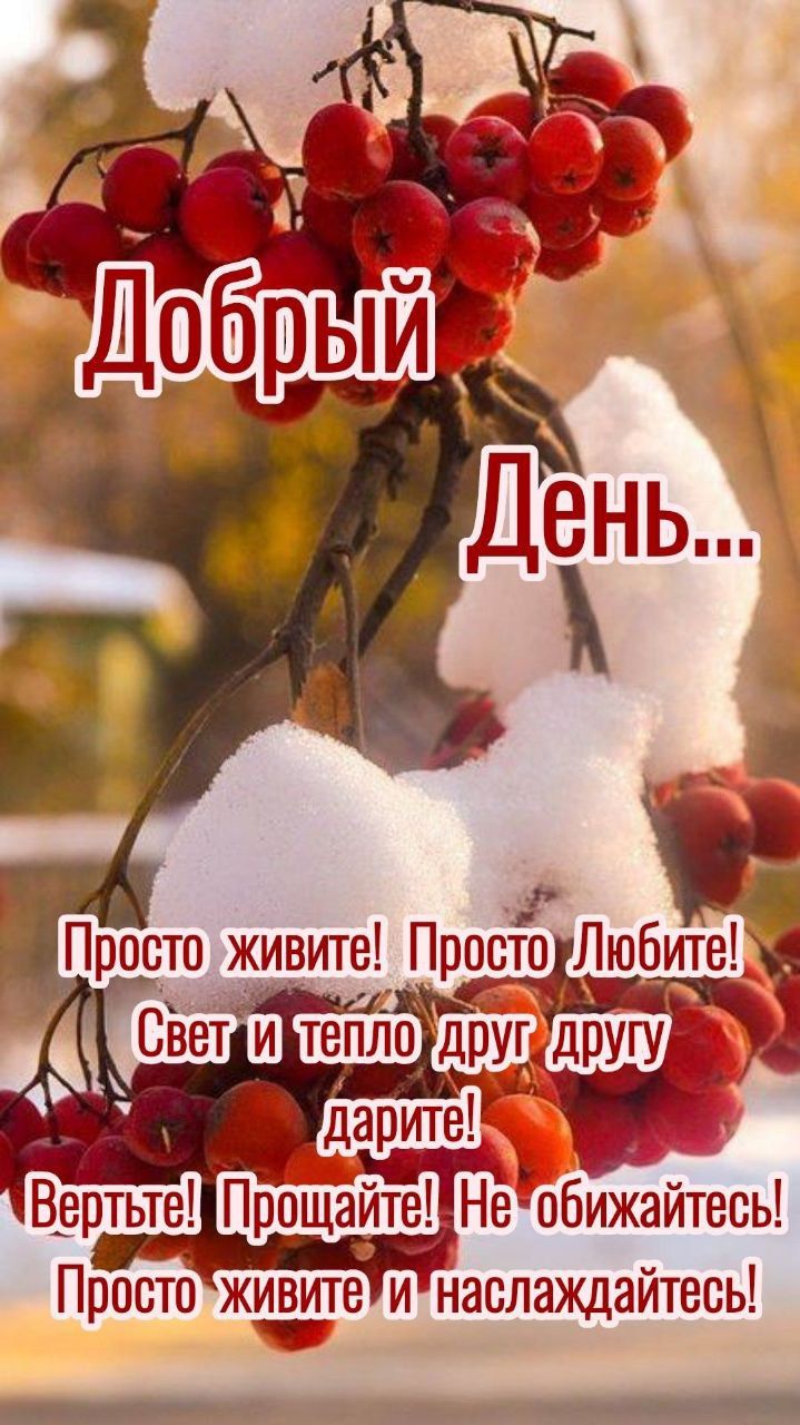 Добрый День... Просто живите! Просто Любите! Свет и тепло друг другу дарите! Верьте! Прощайте! Не обижайтесь! Просто живите и наслаждайтесь!