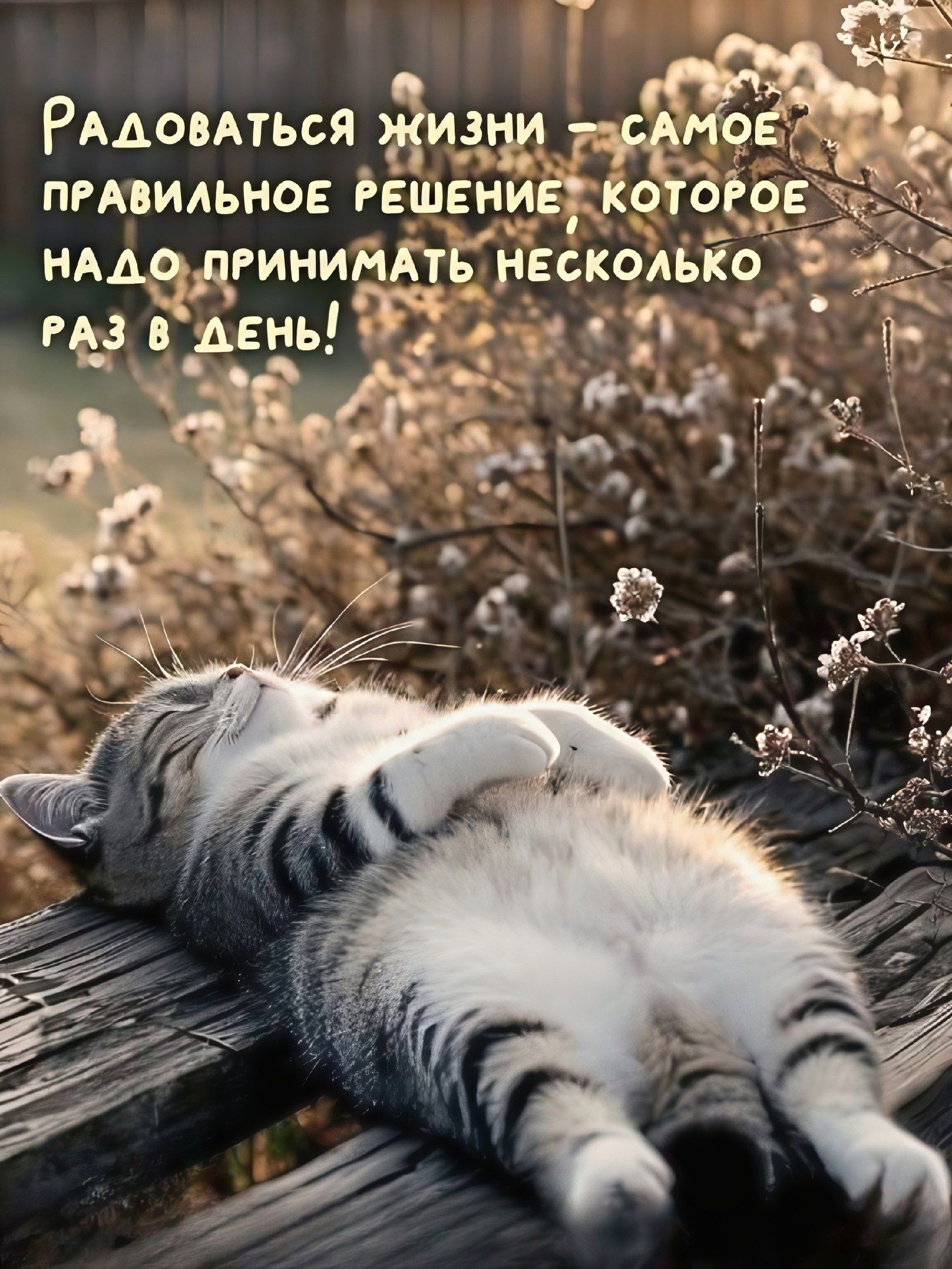Радоваться жизни — самое правильное решение, которое надо принимать несколько раз в день!
