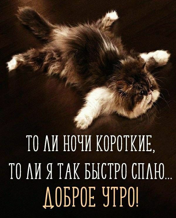 То ли ночи короткие, то ли я так быстро спал... Доброе утро!