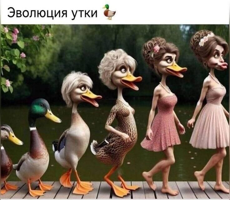 Эволюция утки 🦆