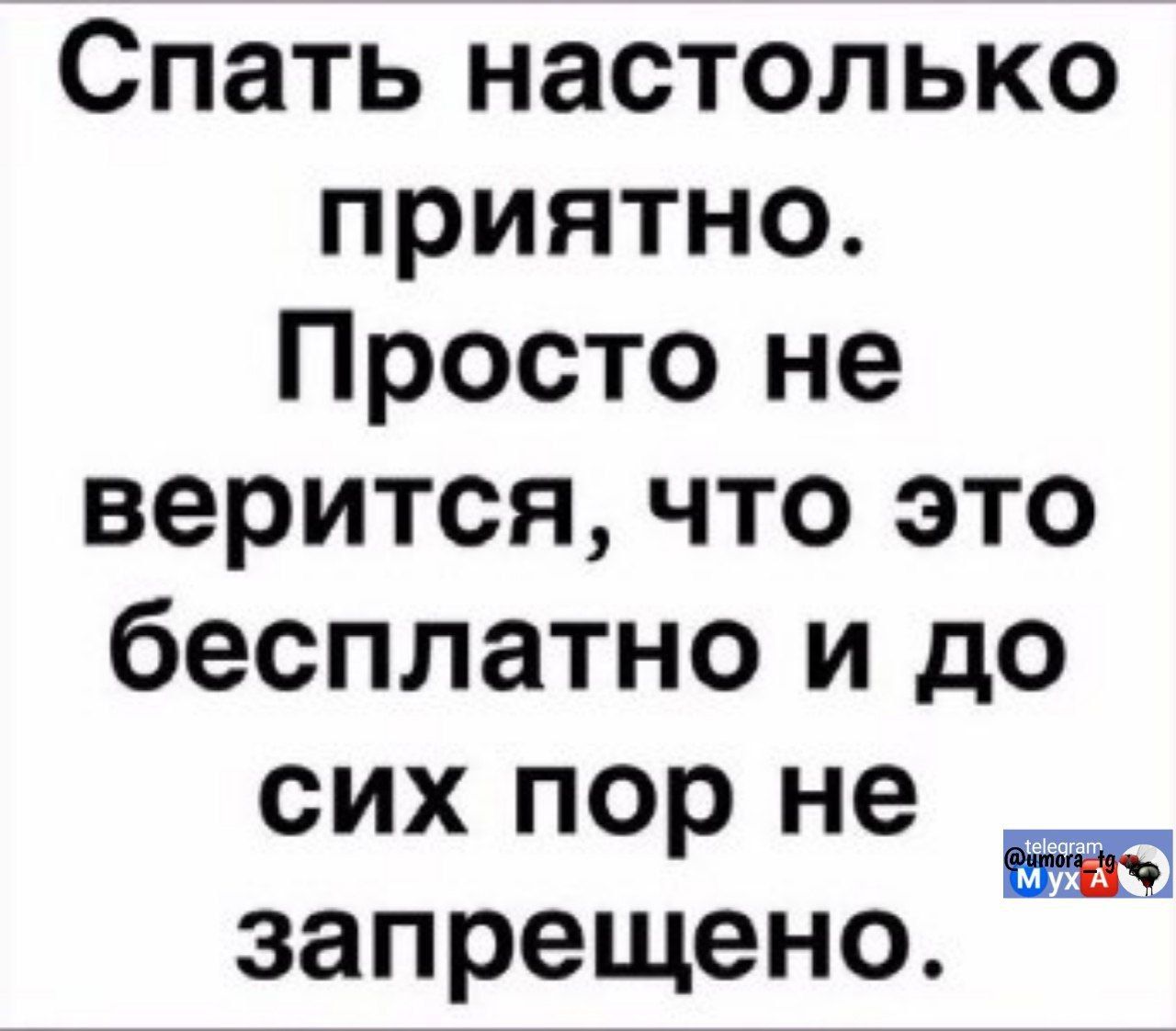 Спать настолько приятно. Просто не верится, что это бесплатно и до сих пор не запрещено.