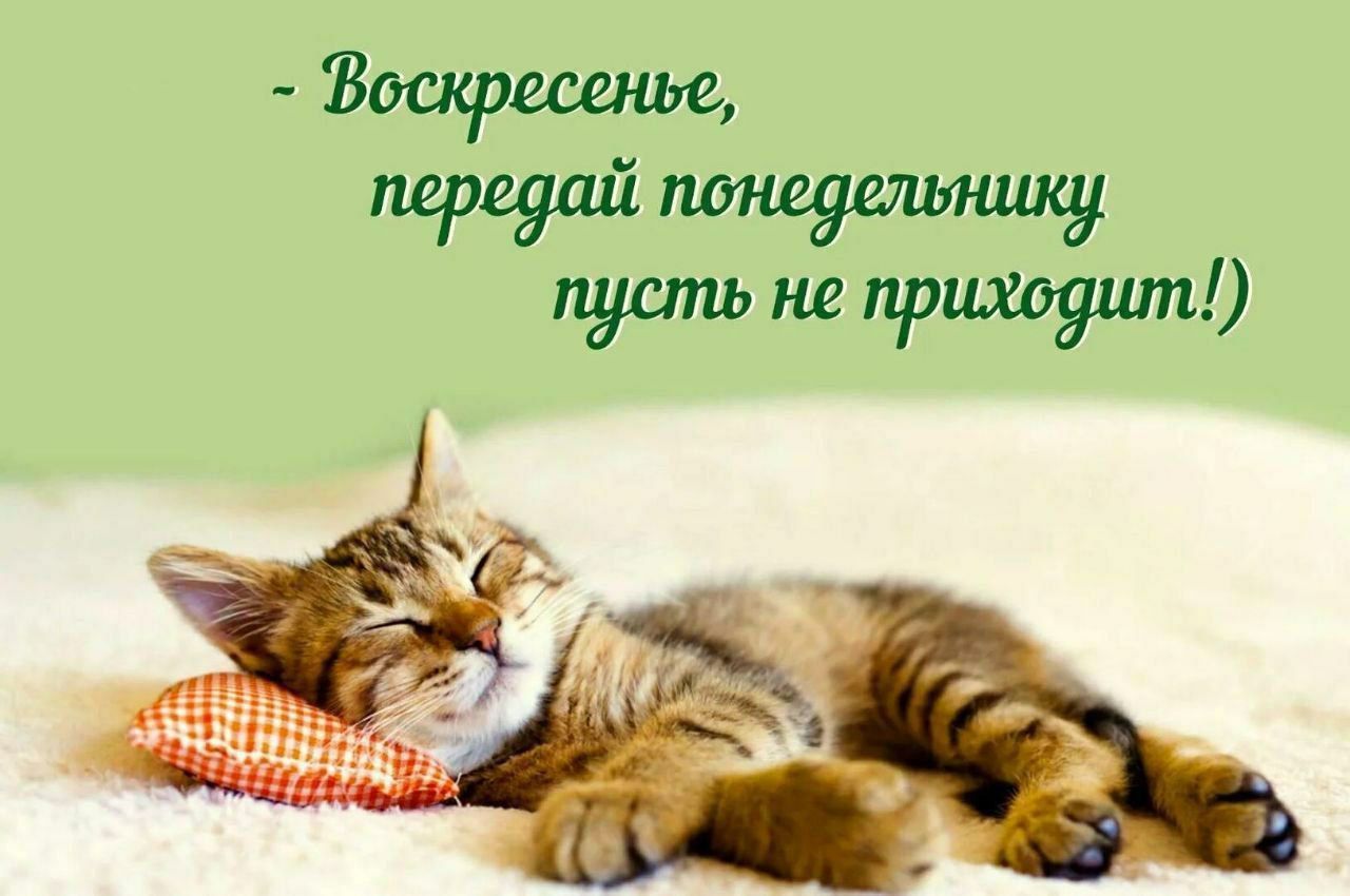 - Воскресенье, передай понедельнику пусть не приходят!)