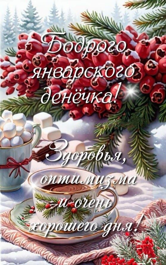 Бодрого январского денёчка! Здоровья, оптимизма и очень хорошего дня!
