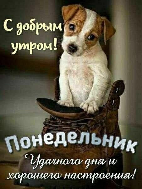 С добрым утром!\nПонедельник\nУдачного дня и хорошего настроения!