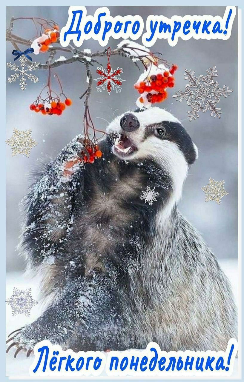 Доброго утречекa! Лёгкого понедельника!
