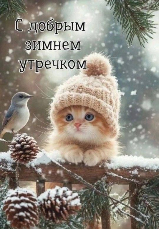 С добрым зимнем утречком
