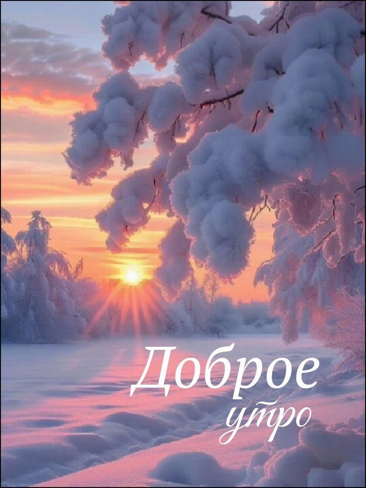 Доброе утро