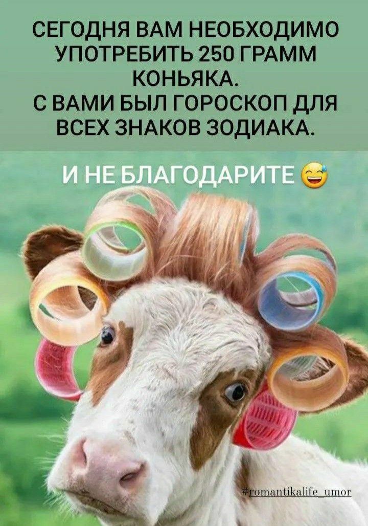 СЕГОДНЯ ВАМ НЕОБХОДИМО УПОТРЕБИТЬ 250 ГРАММ КОНЬЯКА. С ВАМИ БЫЛ ГОРоскоп ДЛЯ ВСЕХ ЗНАКОВ ЗОДИАКА. И НЕ БЛАГОДАРИТЕ 😂