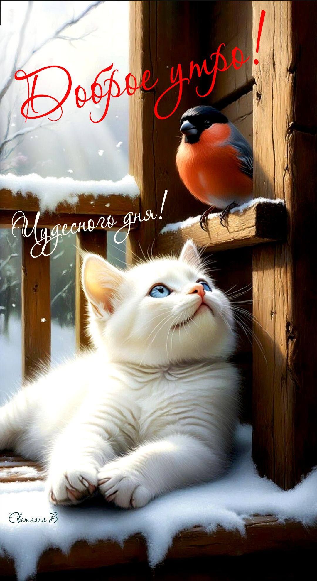 Доброе утро! Чудесного дня!