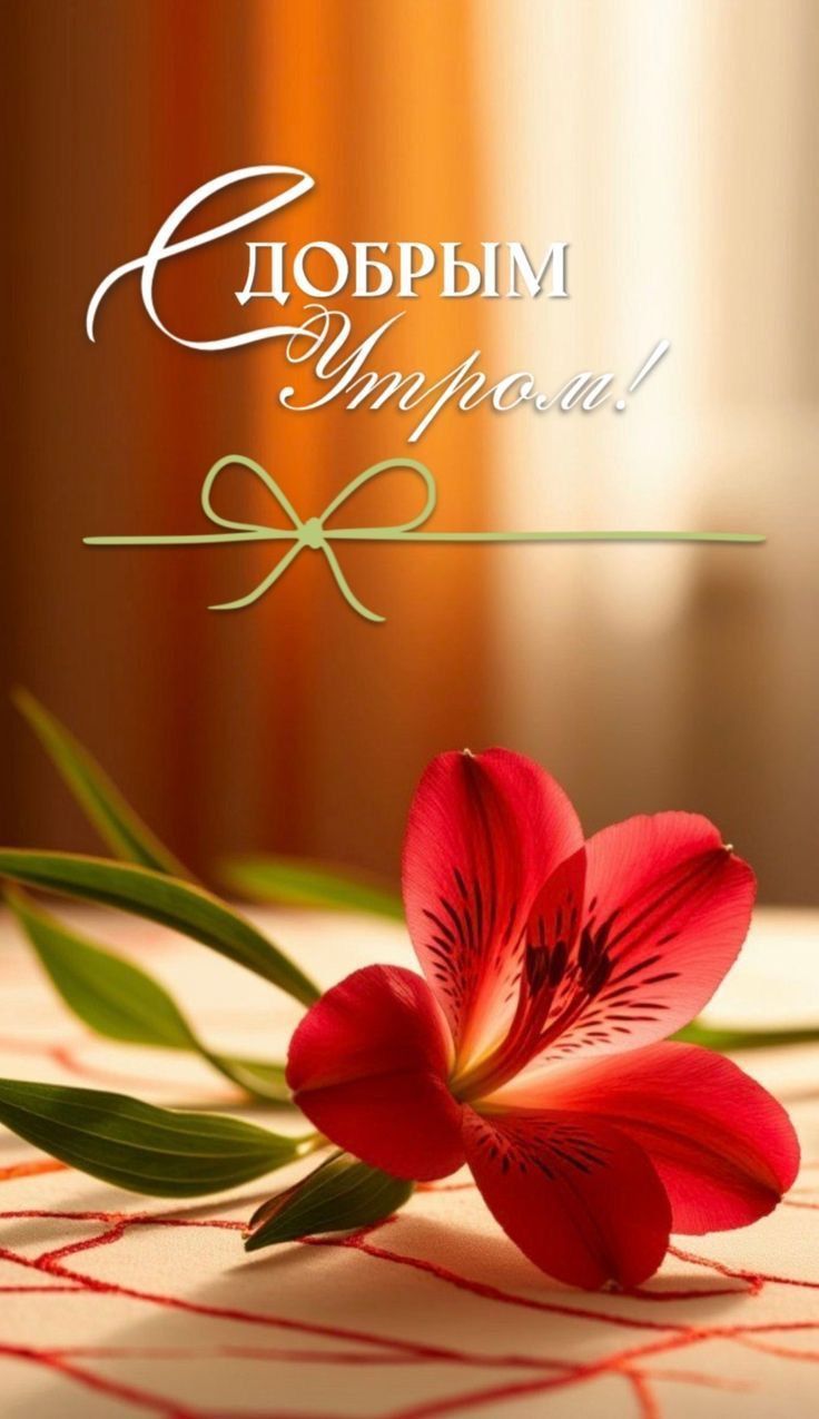 Добрым утром!
