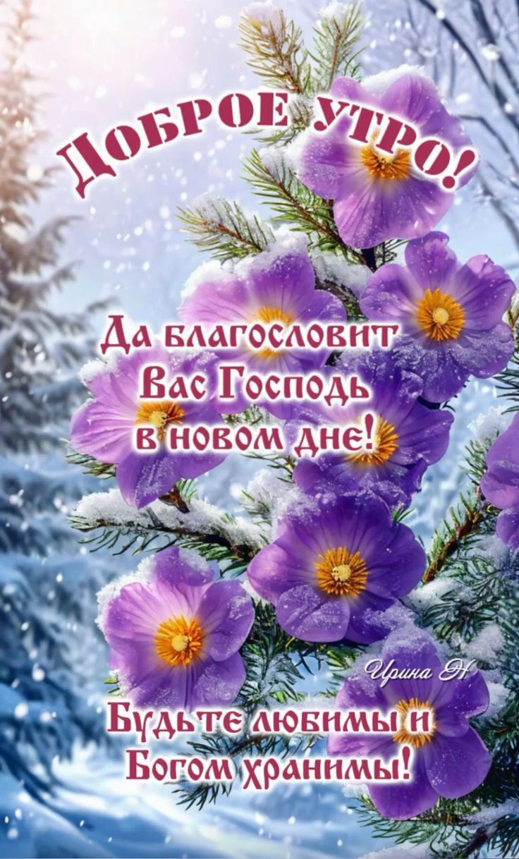 Доброе утро! Да благословит Вас Господь в новом дне! Будьте любимы и Богом хранены!