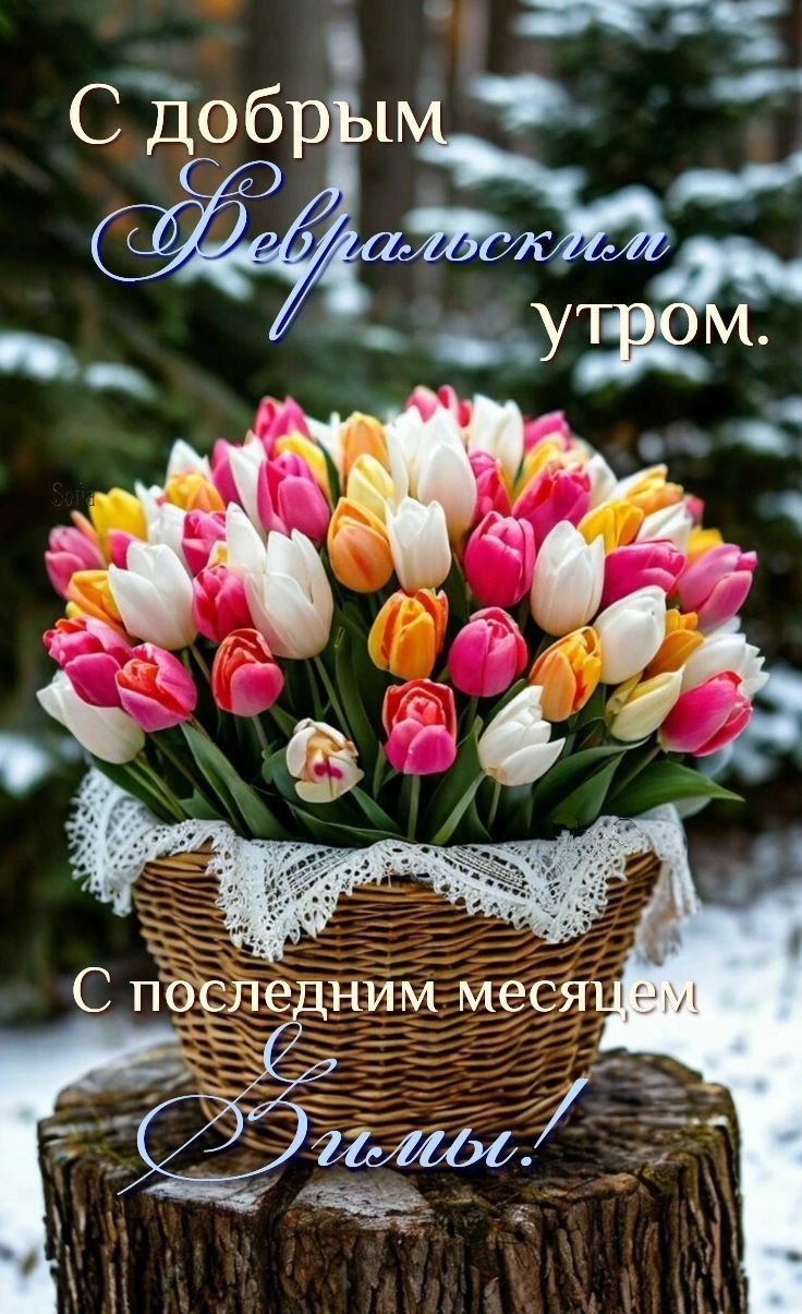 С добрым февральским утром. С последним месяцем зимы!