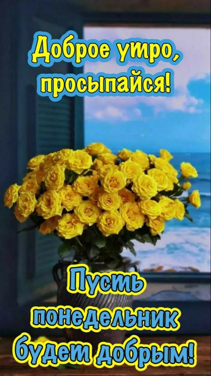Доброе утро, просыпайся!
Пусть понедельник будет добрым!
