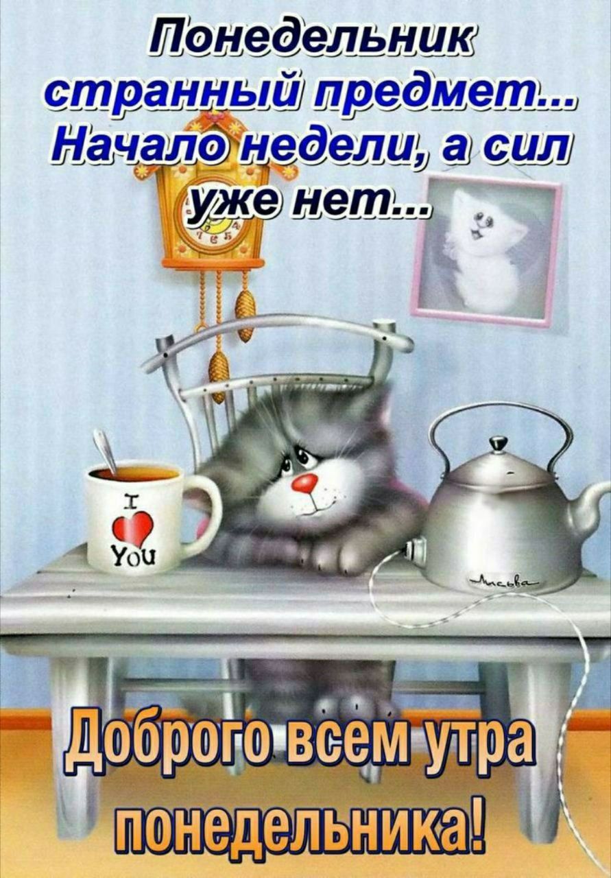 Понедельник странный предмет... Начало недели, а сил уже нет... Доброго всем утра понедельника!