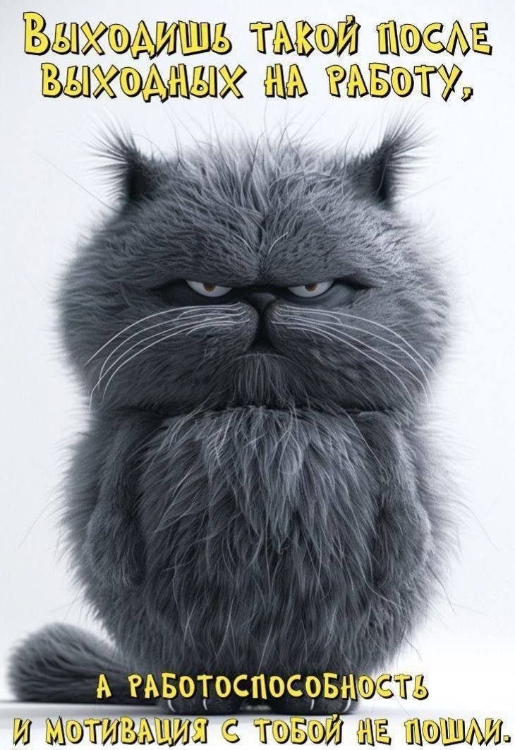 Выходишь такой после выходных на работу, а работоспособность и мотивация с тобой не пошли.