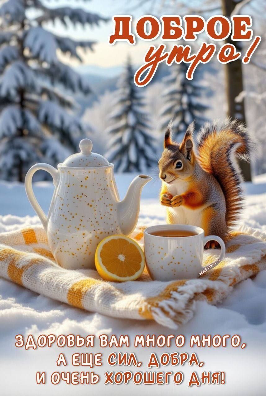 Доброе утро! Здоровья вам много, много, а еще сила, добра, и очень хорошего дня!