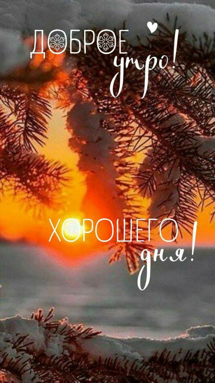 Доброе утро! Хорошего дня!