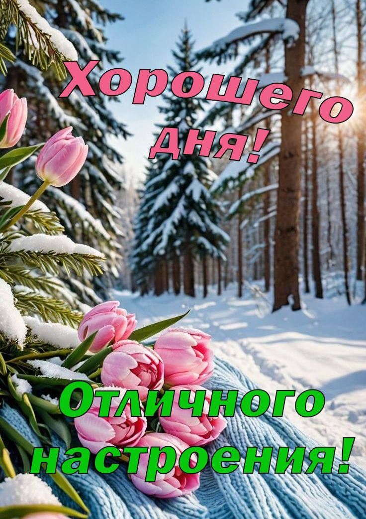Хорошего дня! Отличного настроения!