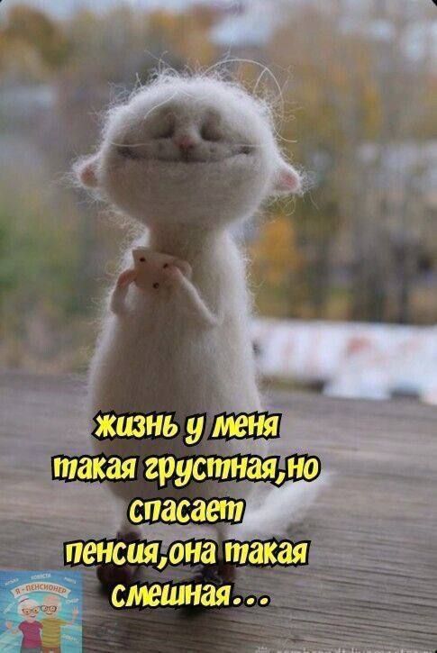 жизнь у меня такая грустная,но спасает пенсия,она такая смешная...