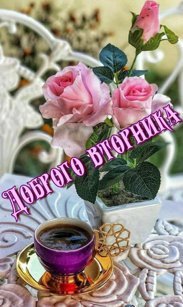 Доброго вторника