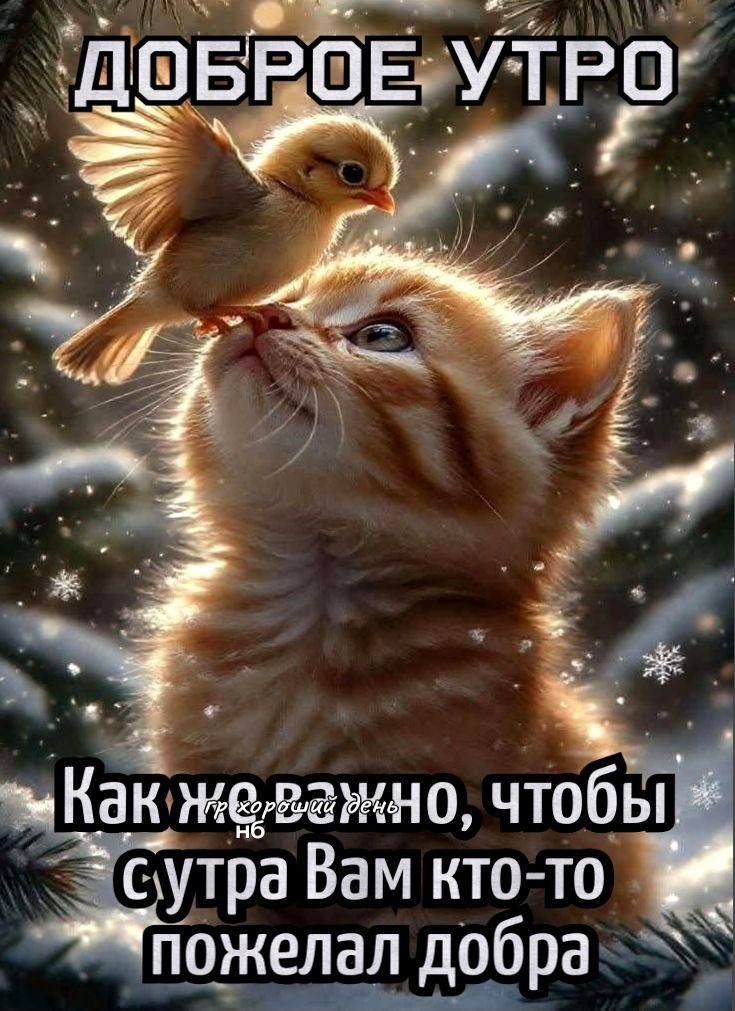 ДОБРОЕ УТРО Как же хорошо, чтобы кому‑то пожелал вам добра