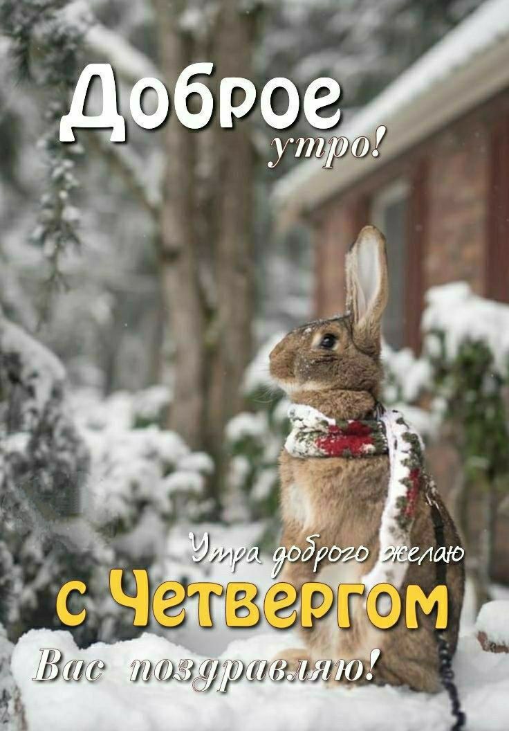 Доброе утро! Утра доброго желаю Вас поздравляю! с Четверг