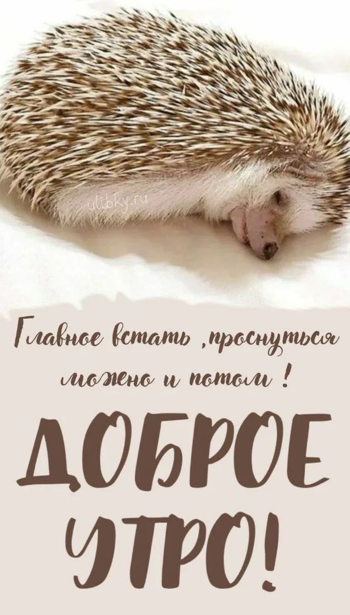 Главное встать, проснуться можно и потом! ДОБРОЕ УТРО!