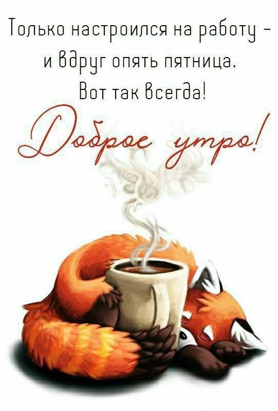 Только настроился на работу - и вдруг опять пятница. Вот так всегда! Доброе утро!