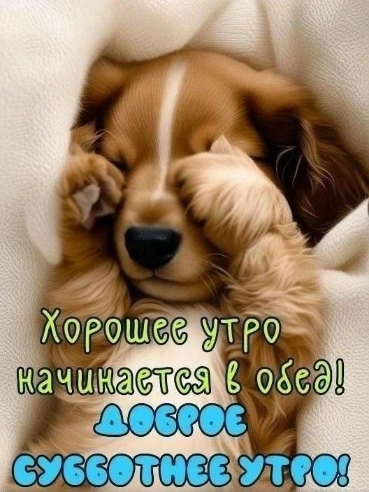 Хорошее утро начинается в обед! ДОБРОЕ СУББОТНЕЕ УТРО!